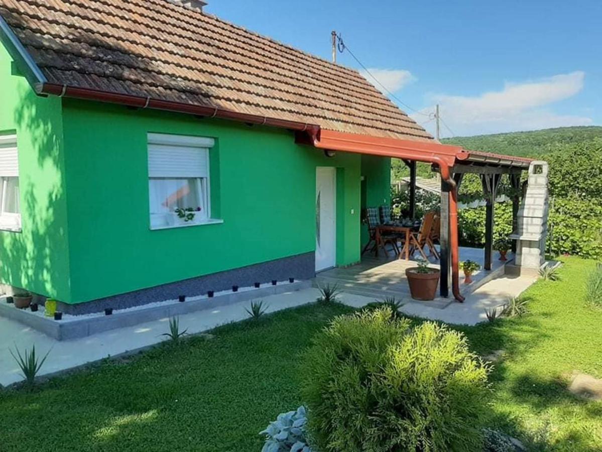 Ruralna Kuca Za Odmor Viktorija Villa Caglin Exterior foto