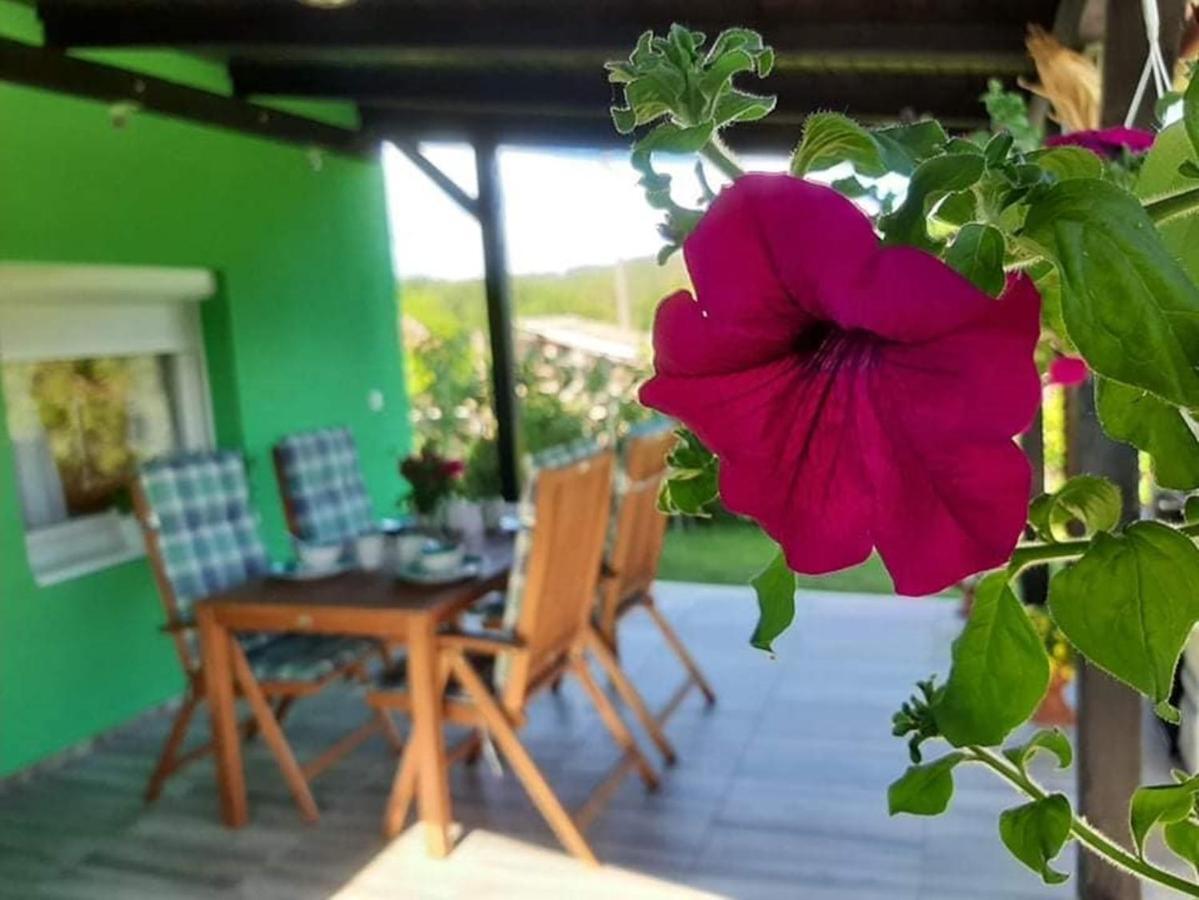 Ruralna Kuca Za Odmor Viktorija Villa Caglin Exterior foto