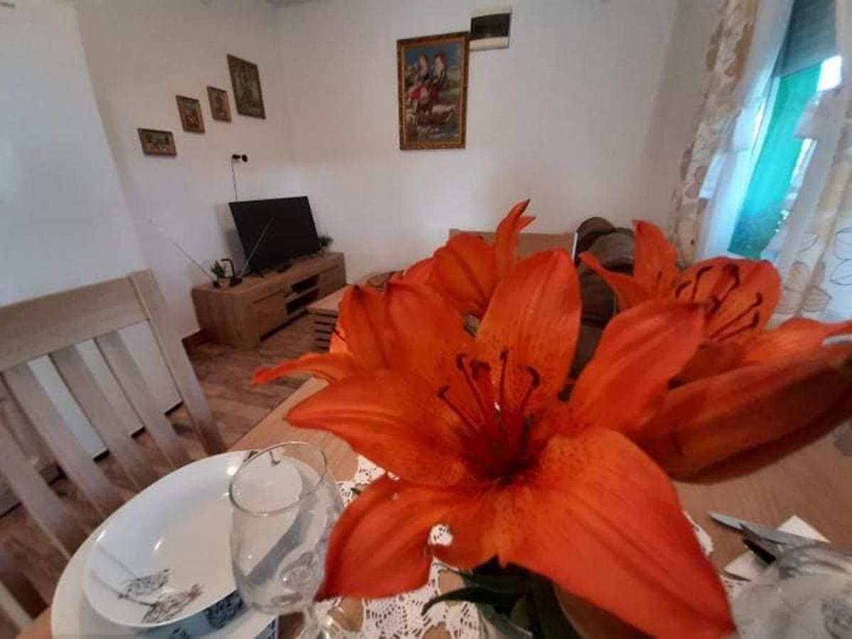 Ruralna Kuca Za Odmor Viktorija Villa Caglin Exterior foto